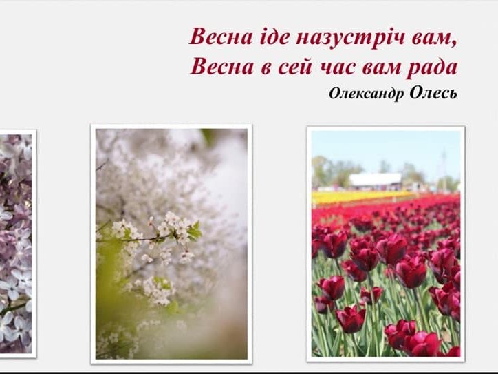 96701333_2740835132905545_8344307826113380352_n