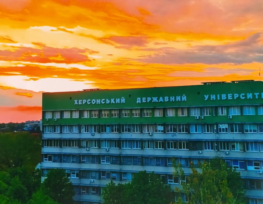 335406679_236273282092002_5246476954071343226_n