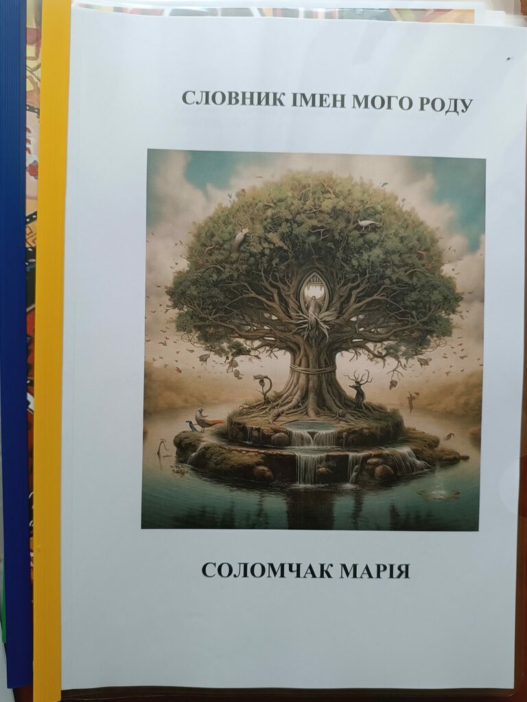 IMG_20240528_183338_2